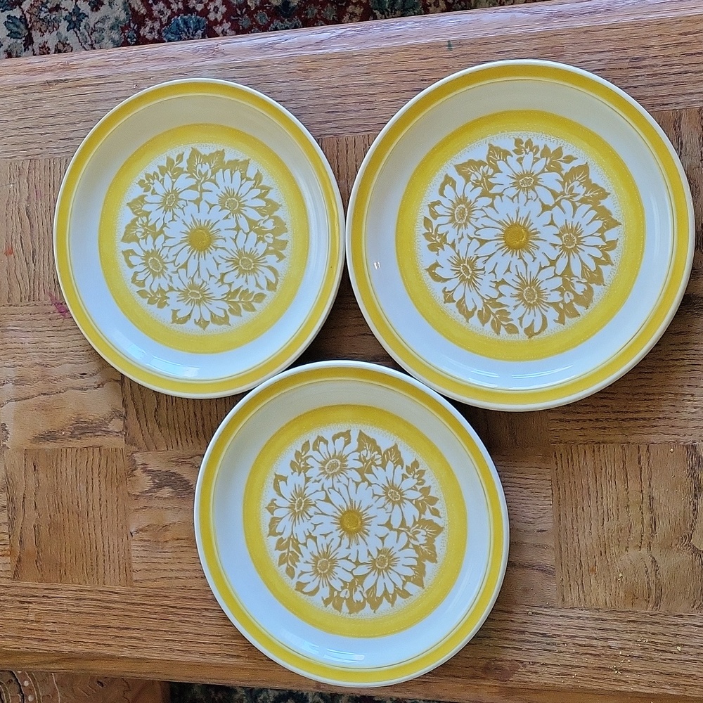 3 Jamestown 70's dinner plates